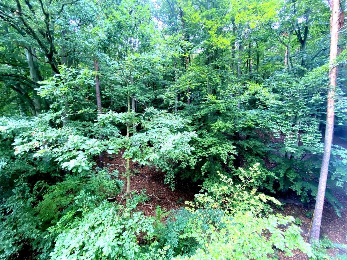 Forest - 23 Marca Sopot By Grand Apartments Eksteriør billede